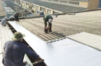 Sửa chữa mái tôn nhà xưởng