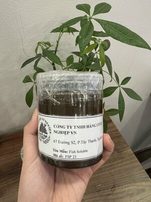 Mẫu dịch đạm cá