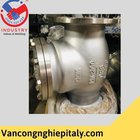 Van 1 chiều lá lật mặt bích