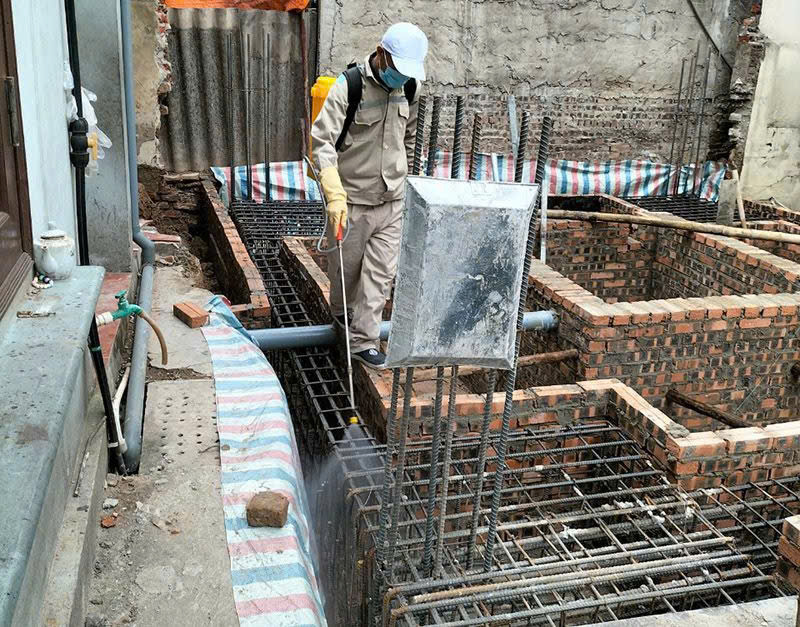 Dịch vụ diệt côn trùng