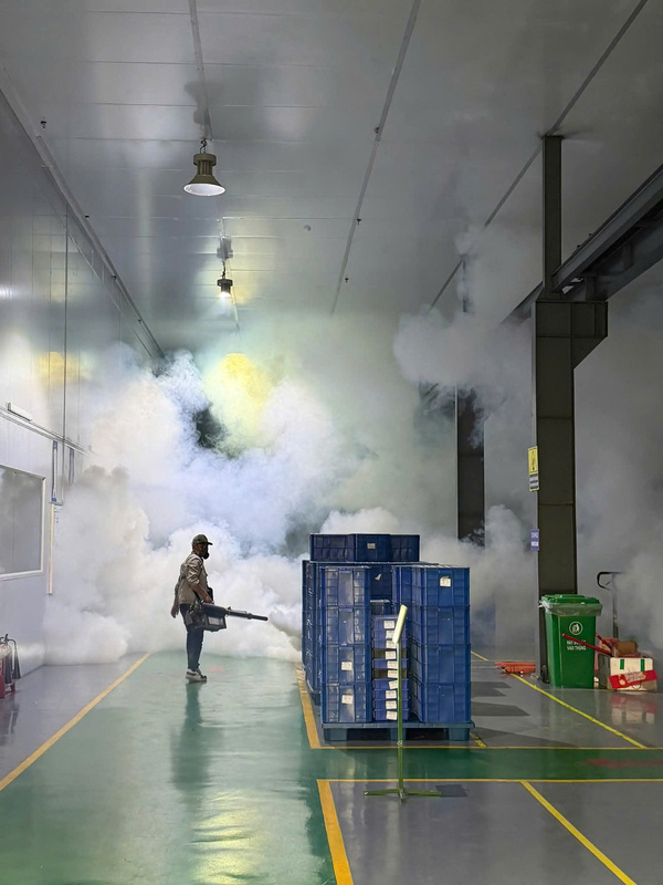 Dịch vụ diệt côn trùng