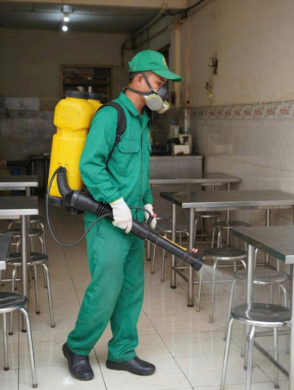 Dịch vụ diệt côn trùng