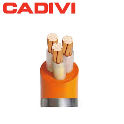 Dây cáp điện Cadivi