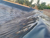 Bạt chống thấm HDPE Kim Vượng