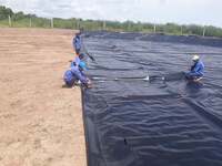 Bạt chống thấm HDPE Kim Vượng