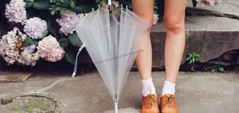 Dù cầm tay trong suốt