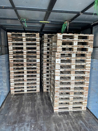 Pallet gỗ