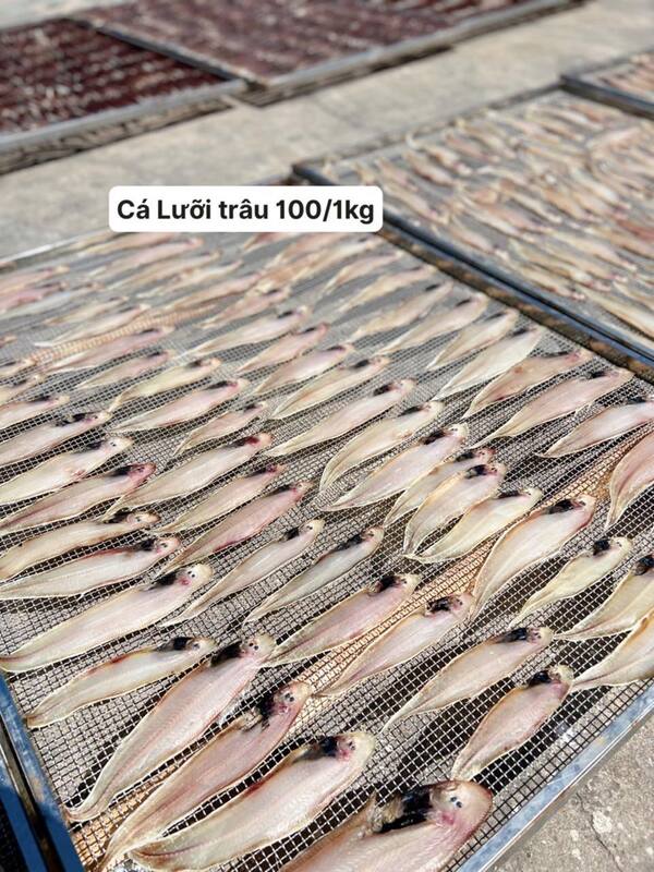 Cá lưỡi trâu