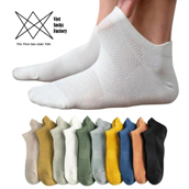 Vớ Cotton co giãn