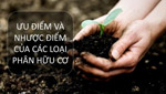 Phân bón hữu cơ