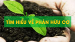 Phân bón hữu cơ
