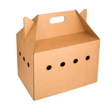 Thùng Carton bế