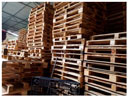 Pallet gỗ