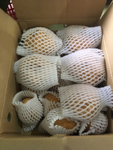 Củ đậu tươi