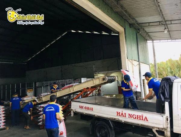Dịch vụ cung ứng lao động