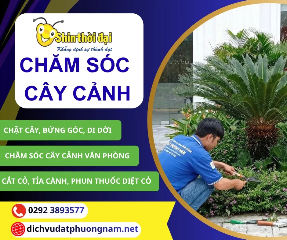 Dịch vụ chăm sóc cây cảnh