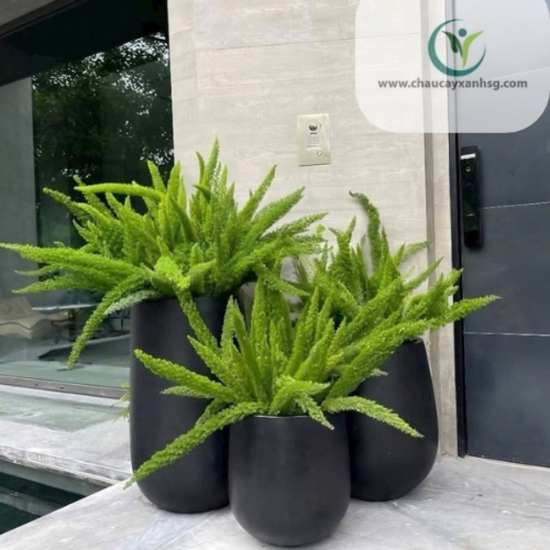 Chậu Composite giọt nước