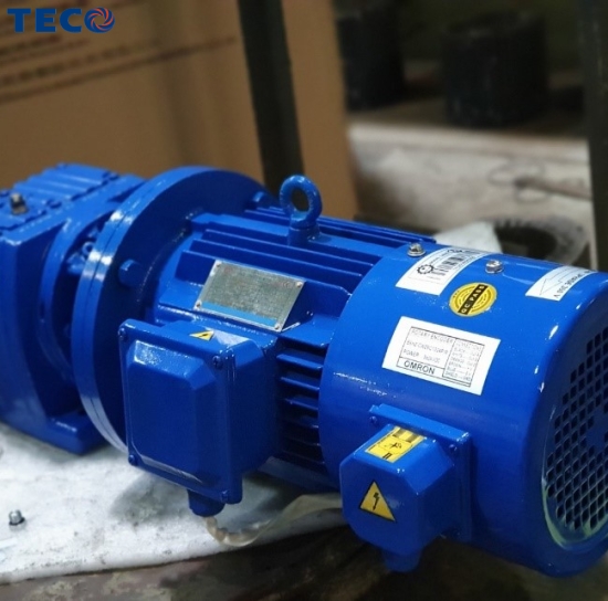 Motor biến tần