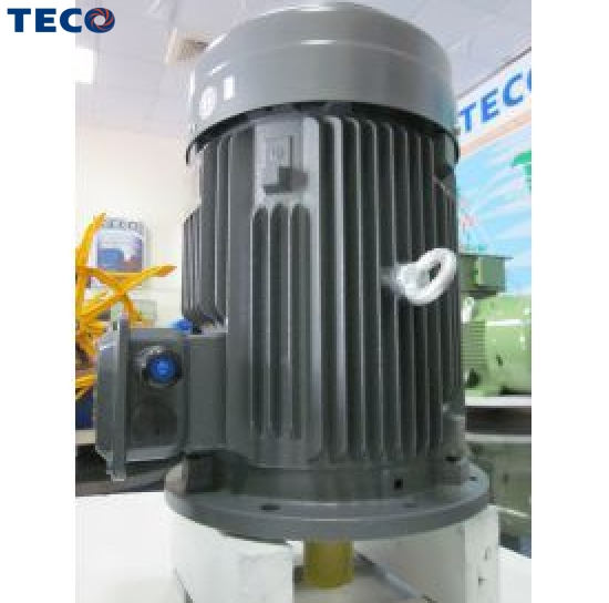 Motor mặt bích Teco