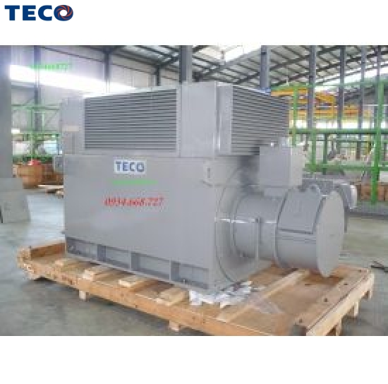 Motor trung thế Teco