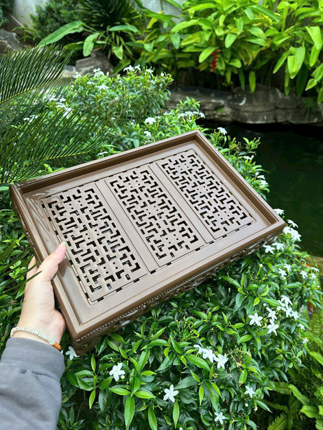 Khay nhựa