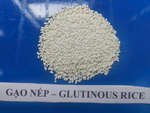 Gạo nếp