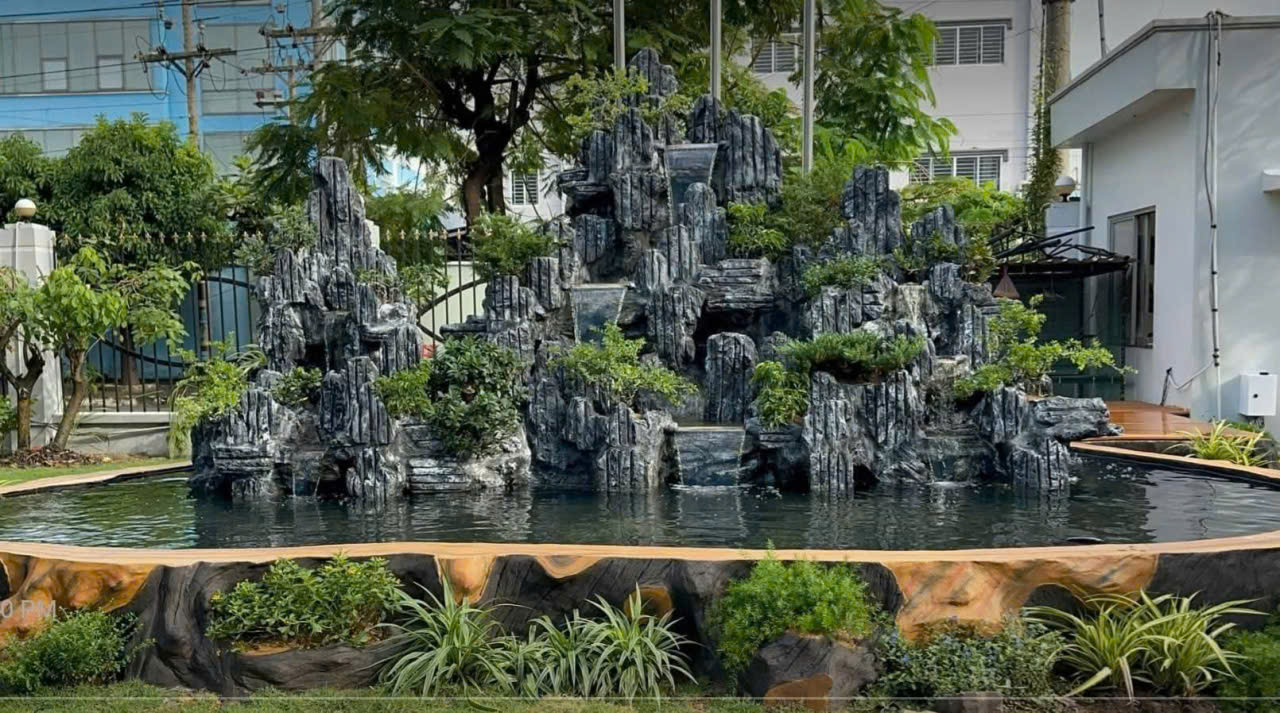 Thi công hồ cá Koi
