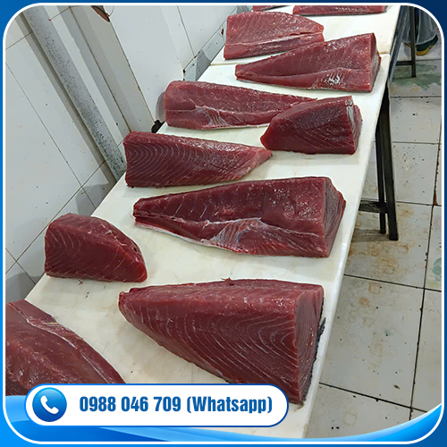 Thăn cá ngừ xử lý CO