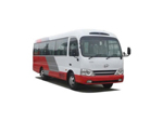 Cho thuê xe 29 chỗ